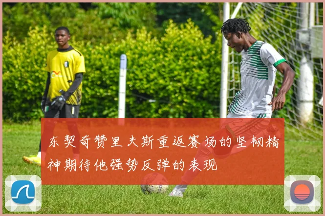 东契奇赞里夫斯重返赛场的坚韧精神期待他强势反弹的表现